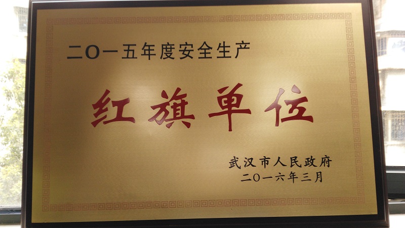 商务区集团荣获武汉市2015年度安全生产红旗单位