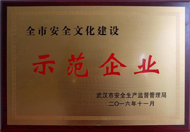 商务区置业公司荣获“武汉市安全文化建设示范企业”称号