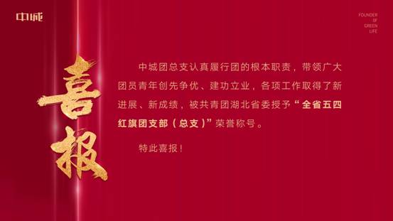 商务区集团所属中城团总支荣获 “全省五四红旗团支部（总支）”荣誉称号