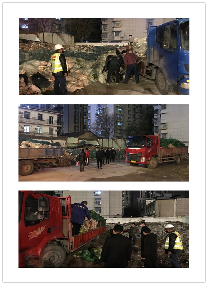 众志成城,共抗疫情