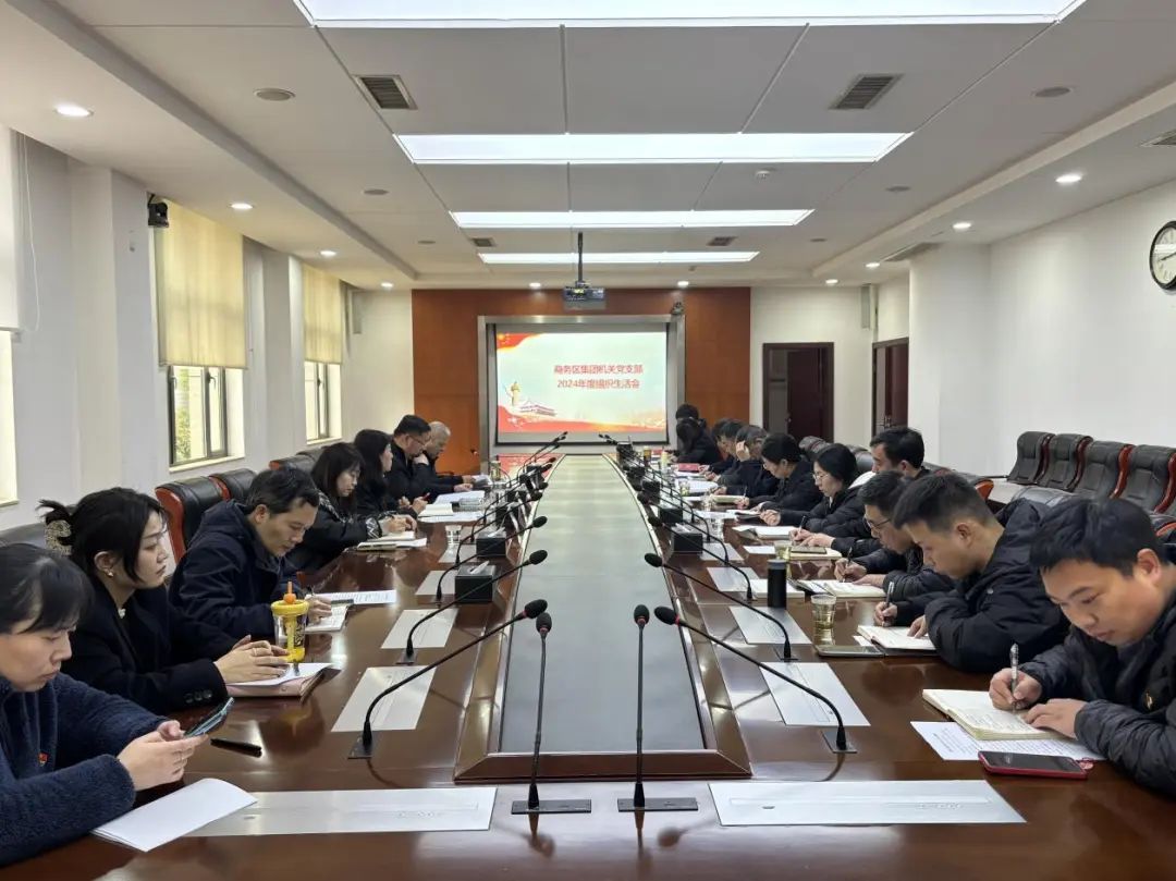 商务区集团机关党支部召开2024年度组织生活会